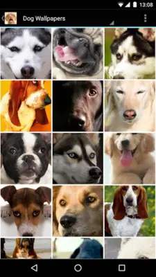 Dog Wallpapers android App screenshot 0