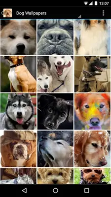 Dog Wallpapers android App screenshot 1