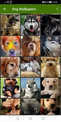 Dog Wallpapers android App screenshot 3