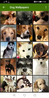 Dog Wallpapers android App screenshot 5